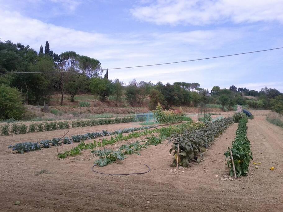 Podere Gian Battaglia Fucecchio Exterior foto