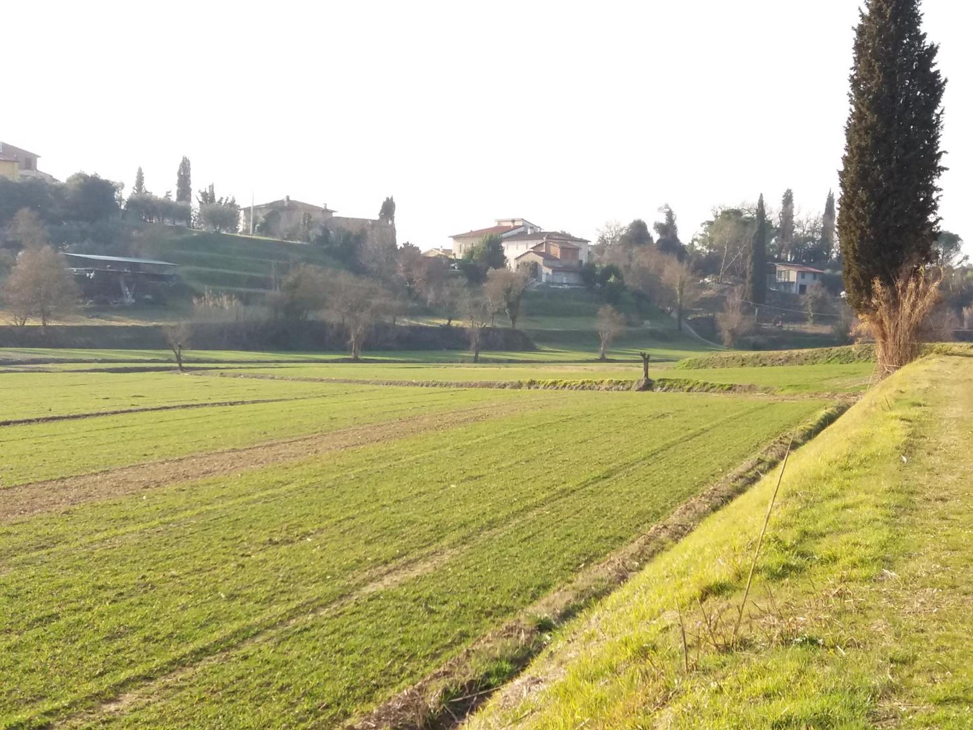 Podere Gian Battaglia Fucecchio Exterior foto