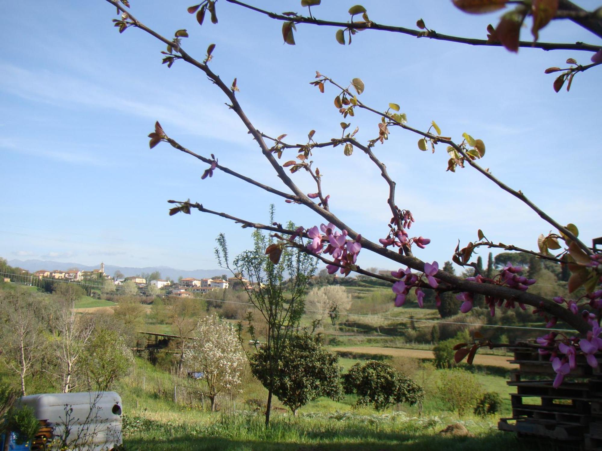 Podere Gian Battaglia Fucecchio Exterior foto